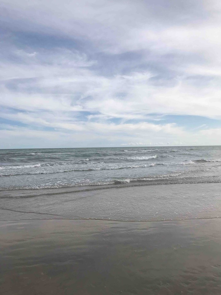 mare
