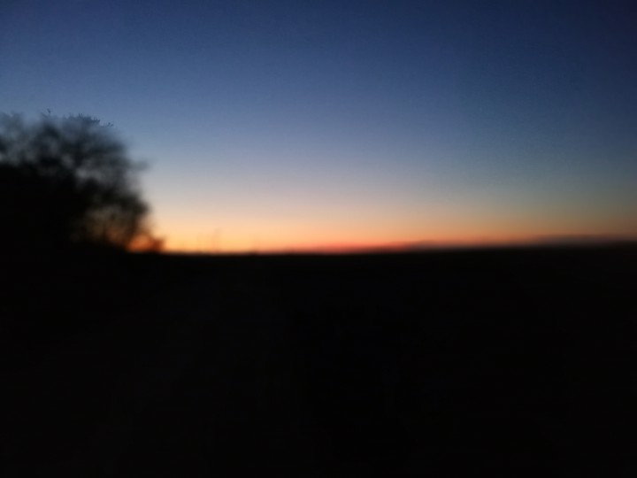 focus now