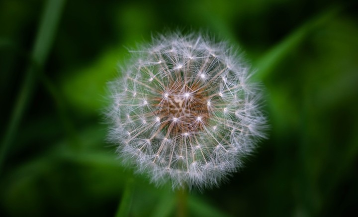 own photography
