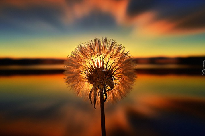 natura