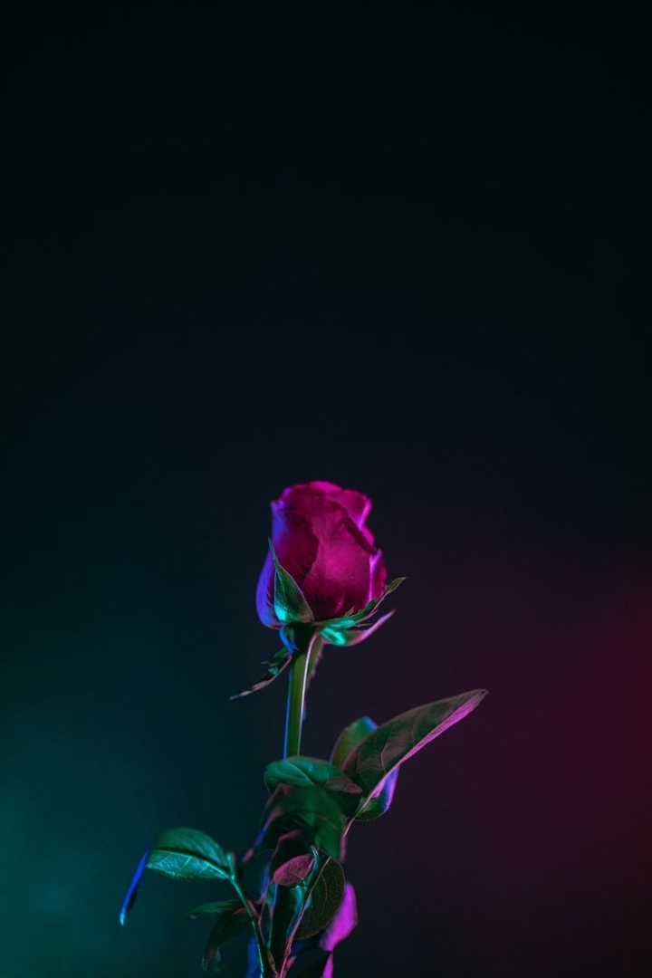 #flower