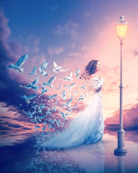 dream