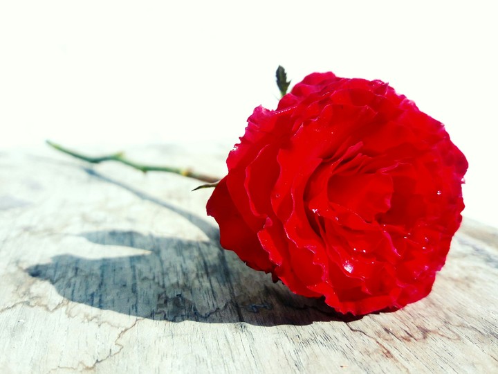 Red from my Eyes.