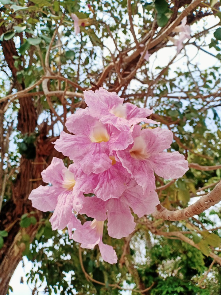 to you