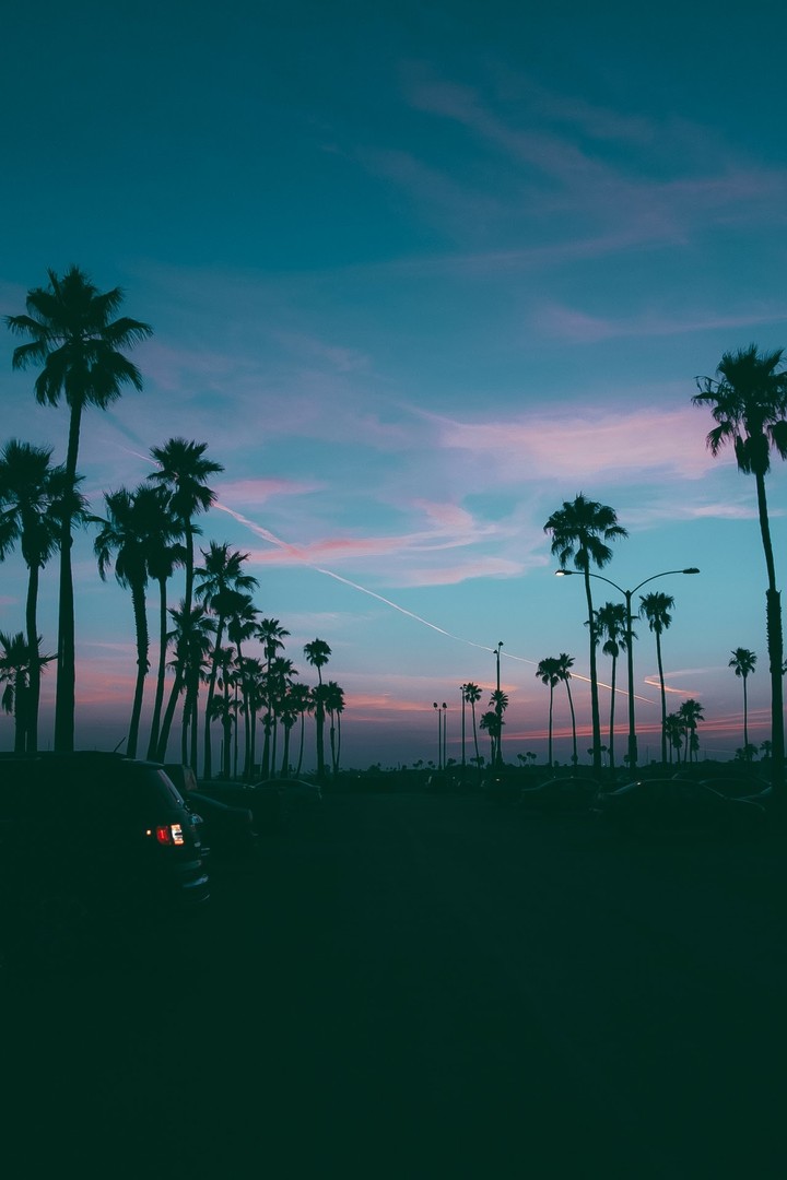 Evening Breeze