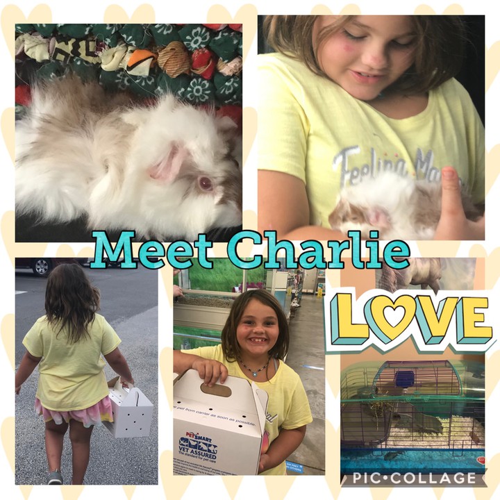 MEET CHARLIE