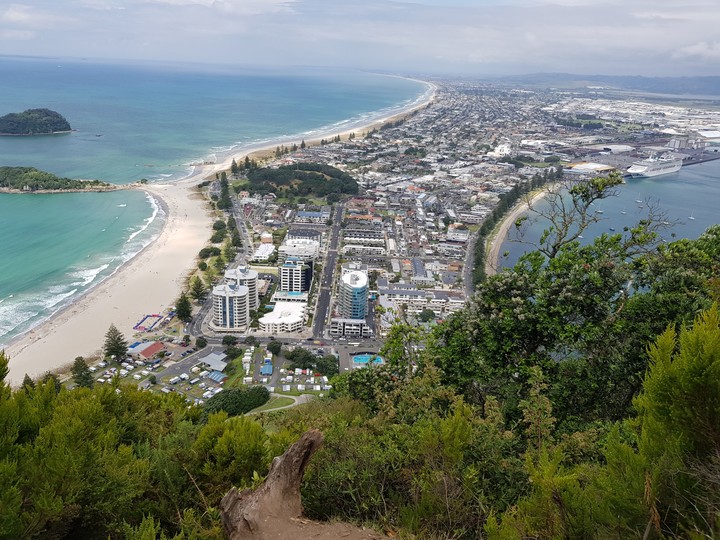 city and ocean