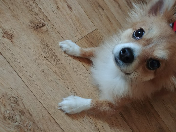 #밍키