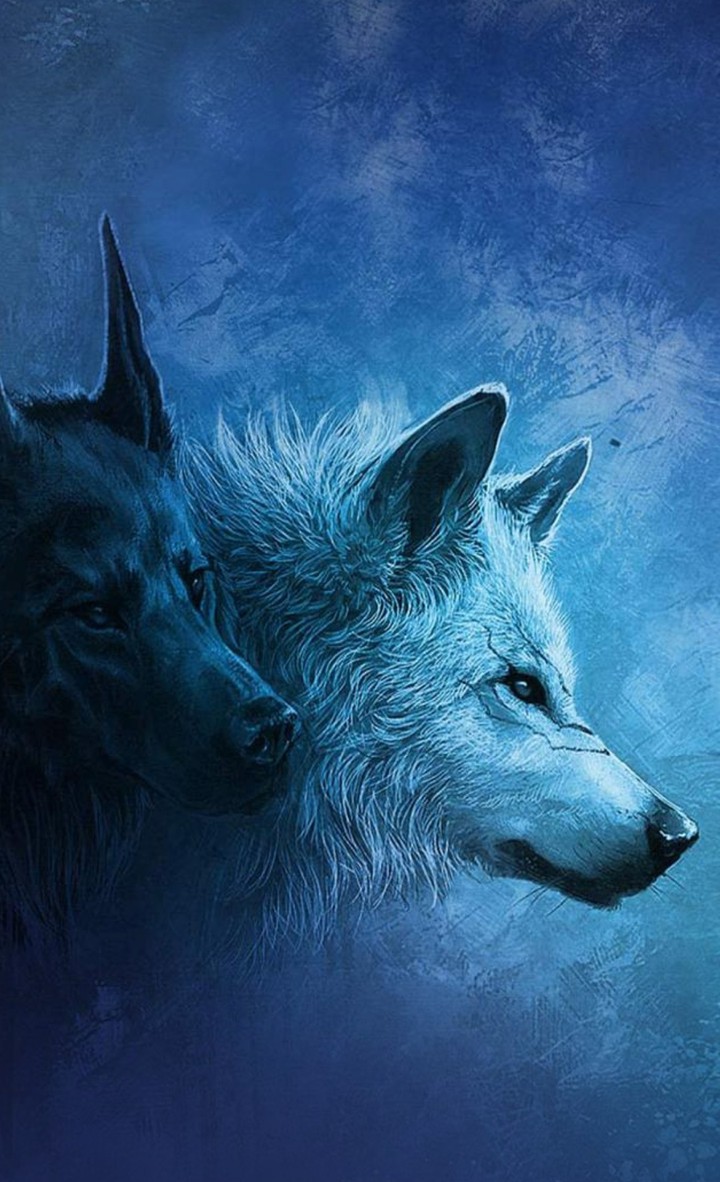 wolfs