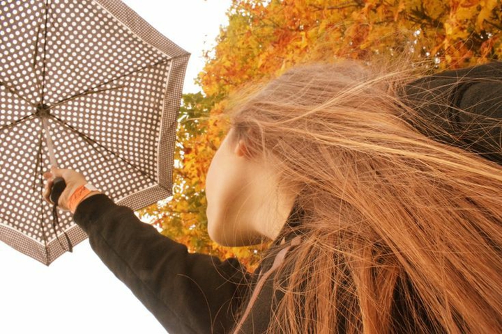 autumn