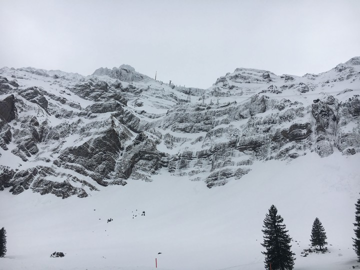 Swiss 