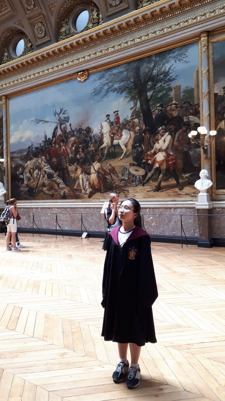 Hogwarts al louvre