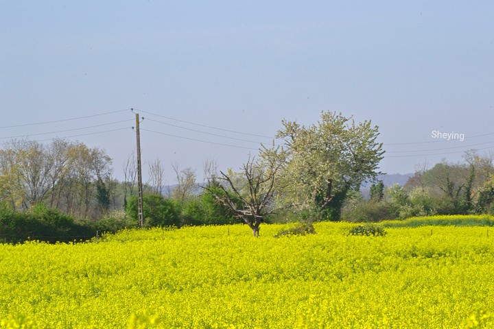 France