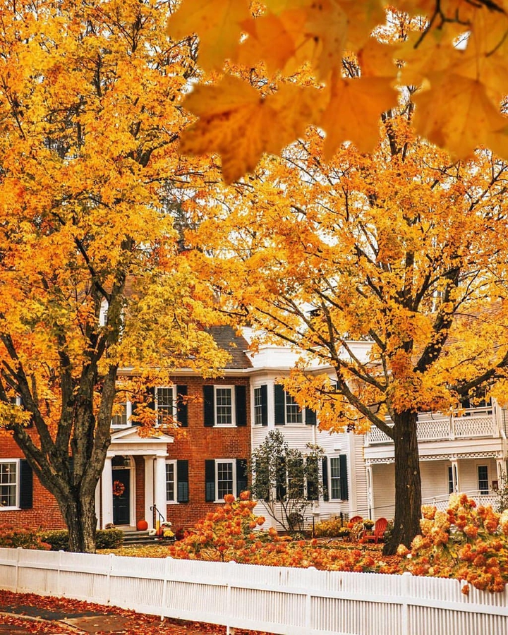 Autumn