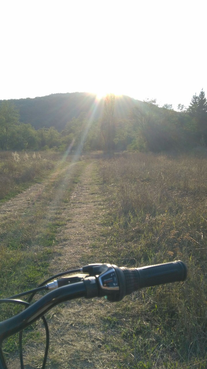 The freedom of cycling