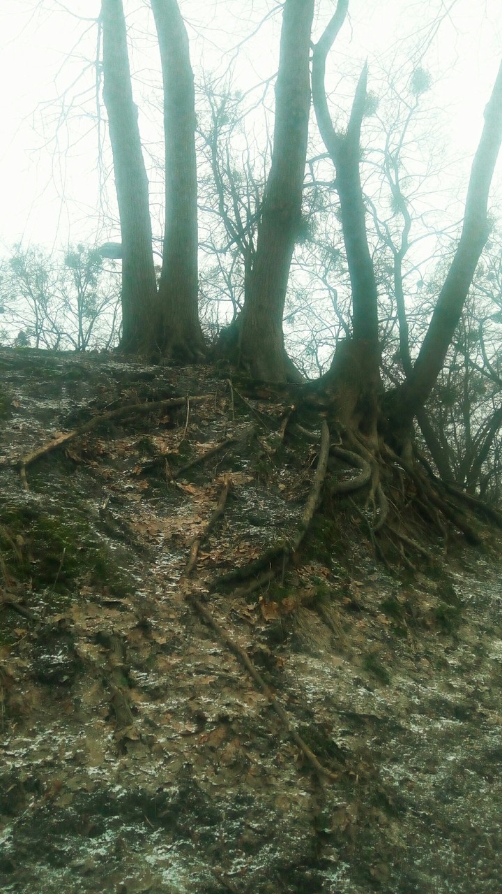 spring