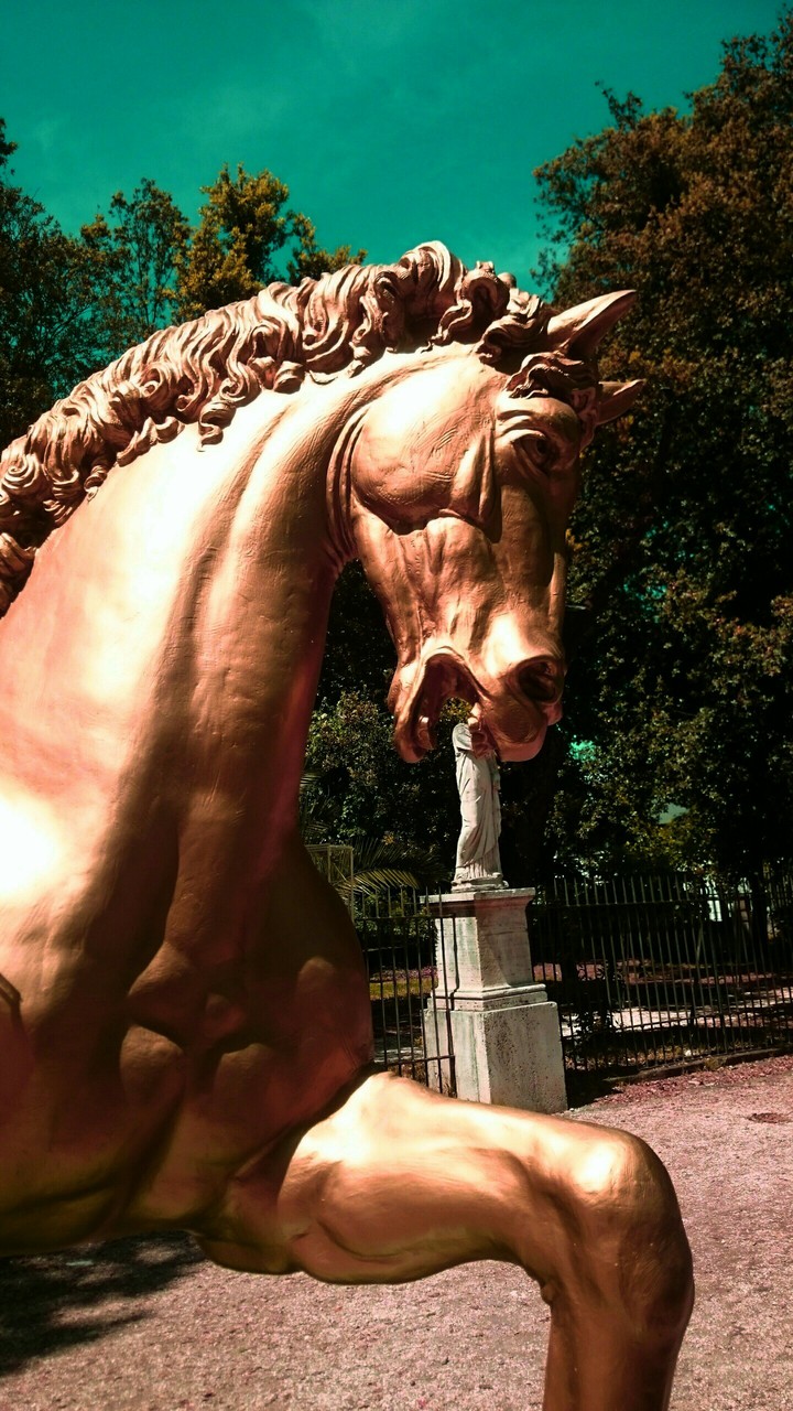 STAMATIOS