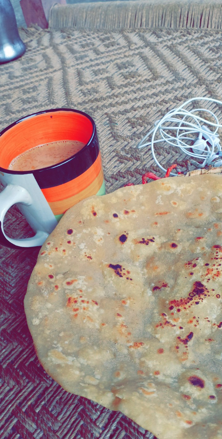 meal of Wheat