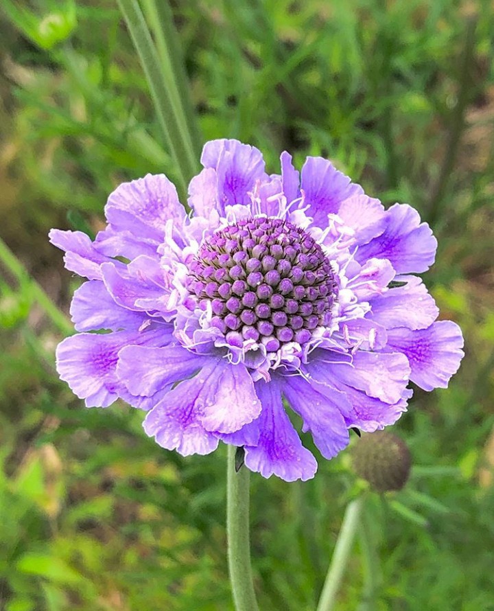 ღ✿◠‿◠✿ღ