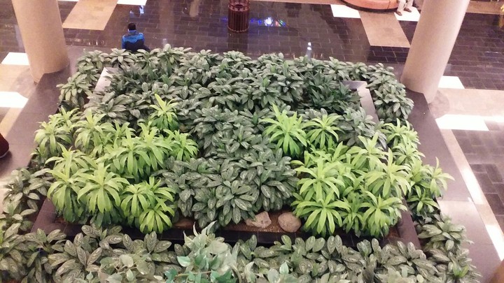 Luscious Green at the Mall