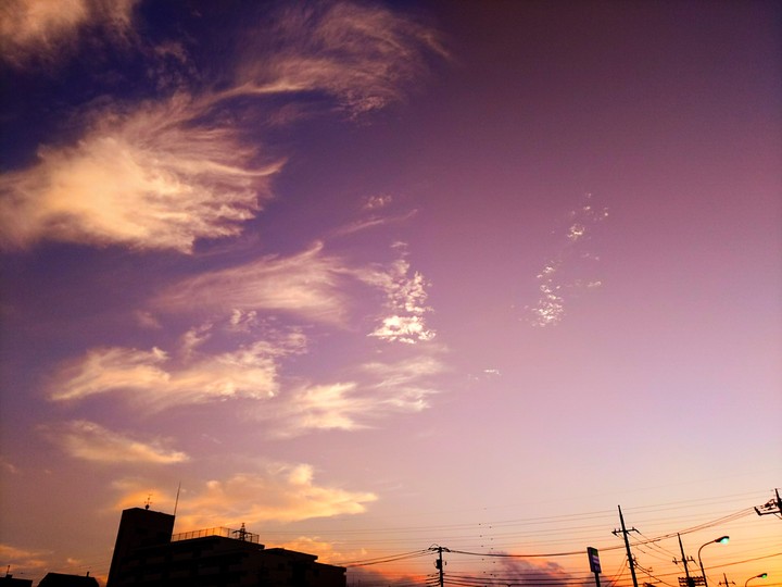 sunset