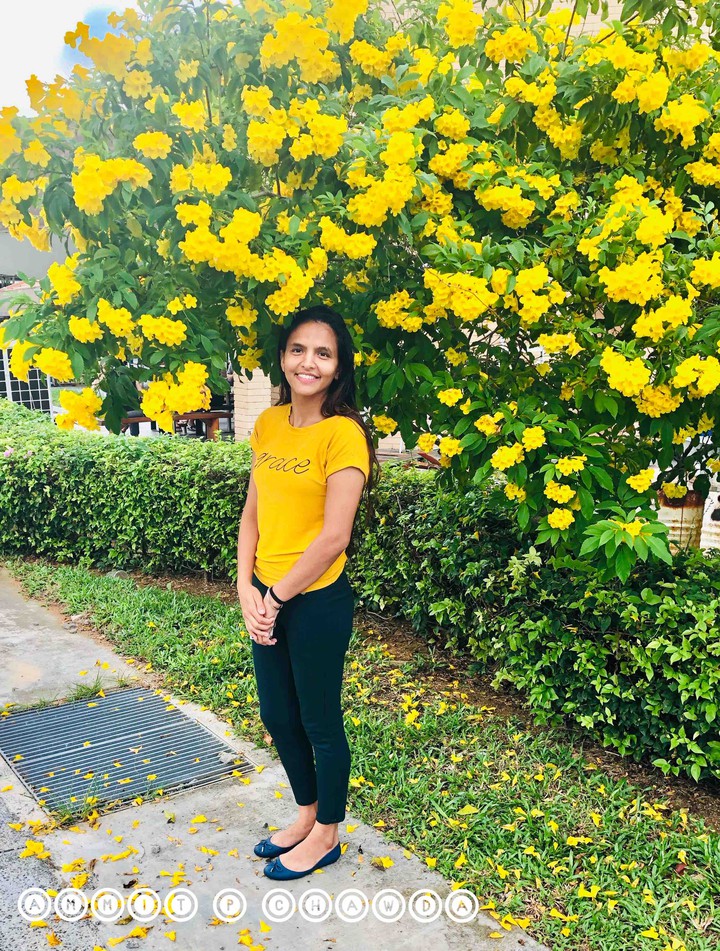 Yellow Flowers