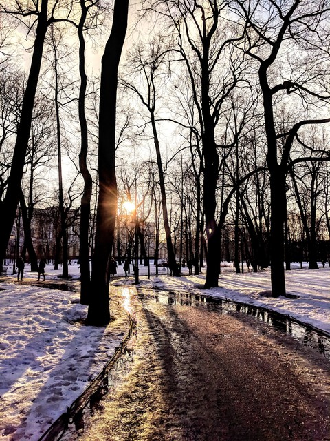 spring