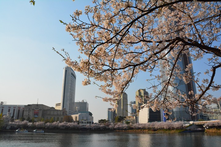 풍경이미지