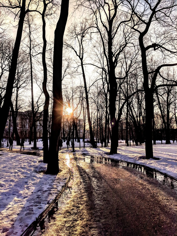 spring