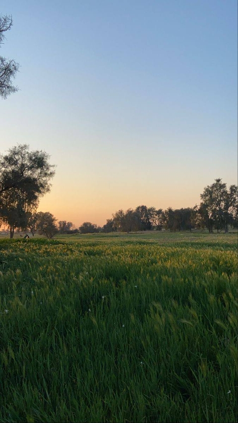 plain, landscape वॉलपेपर