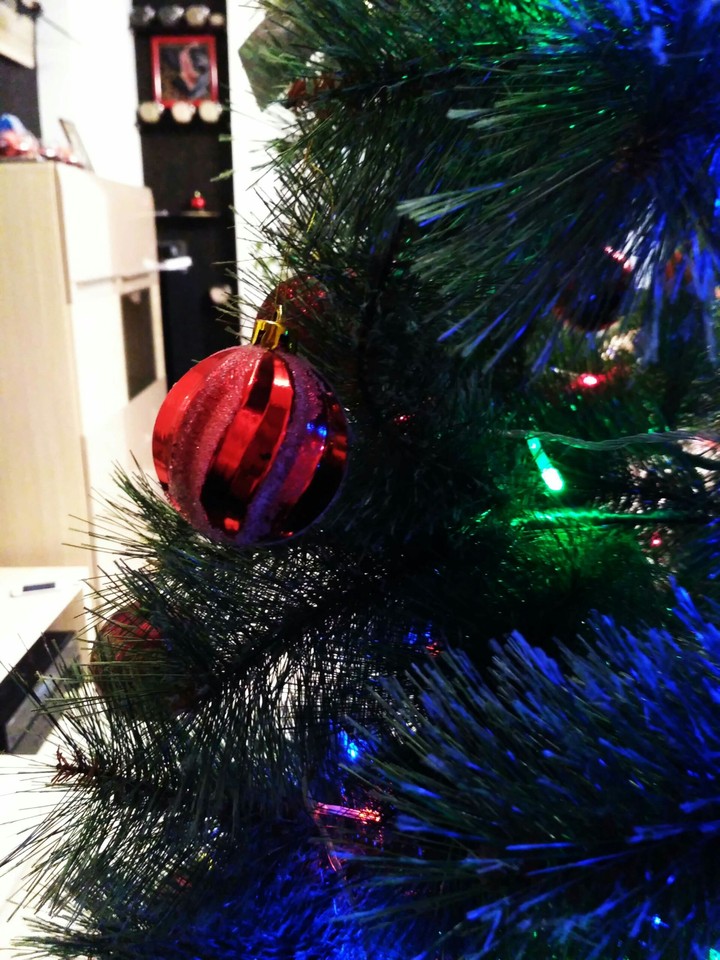 tree
