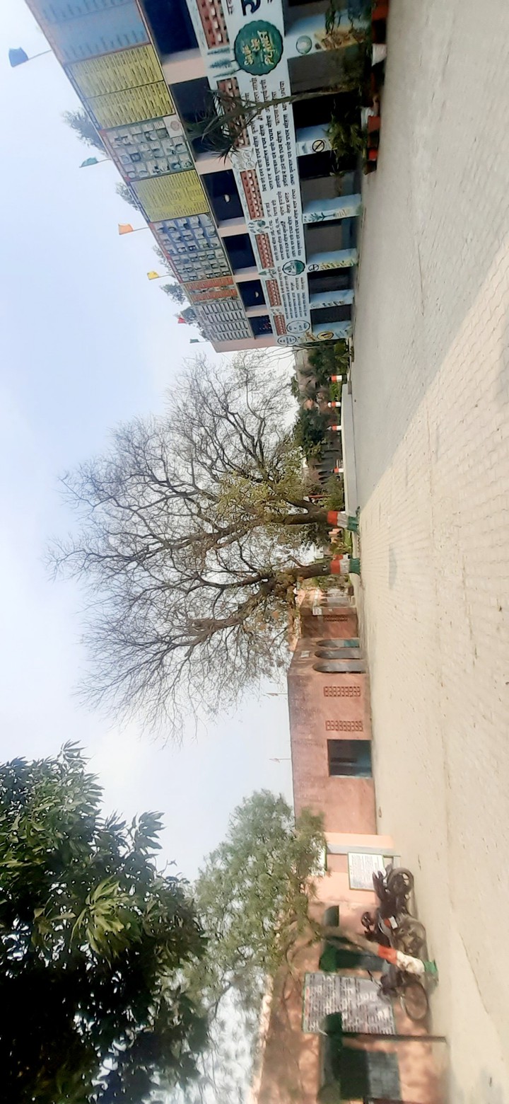 gsss pathreri Shahzadpur