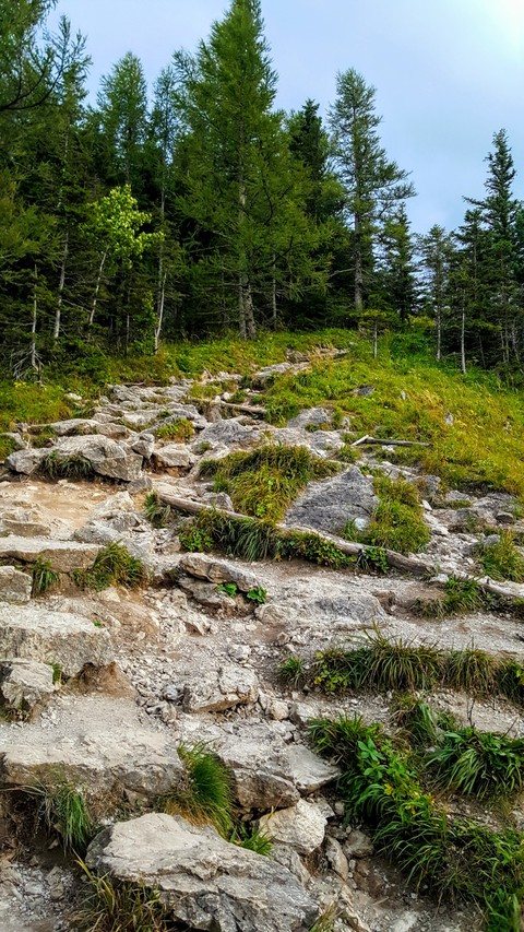 Mountain path.