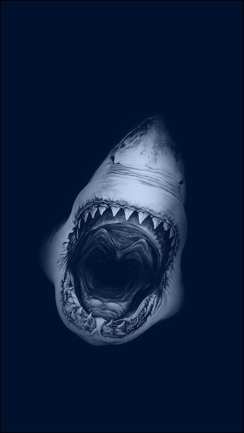 Sharks