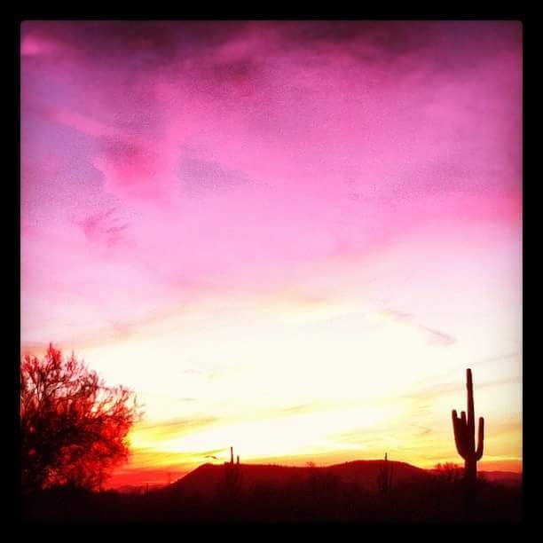 Desert Sunset