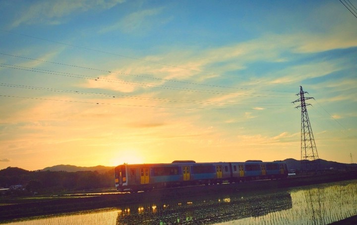 train