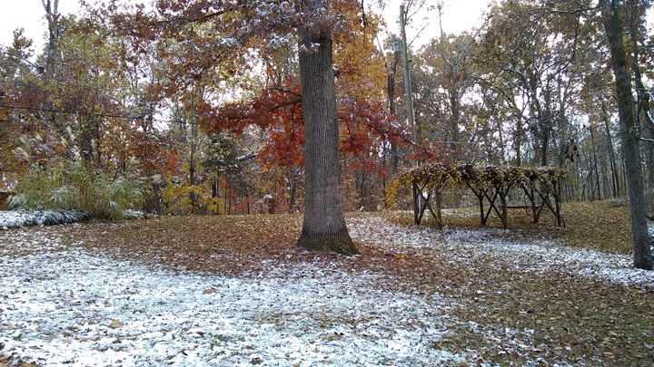 Fall and Winter