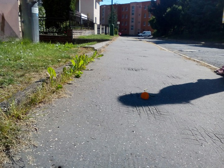 road