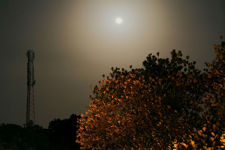 moonlight