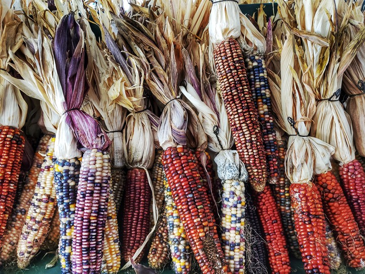corn