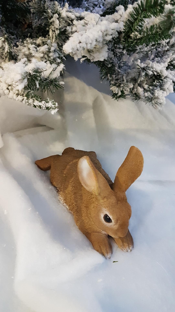 rabbit ( faux lapin )