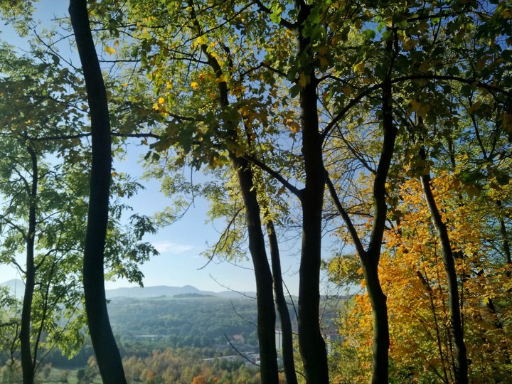 Autumn