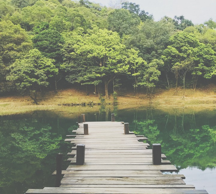 湖邊散步 lake