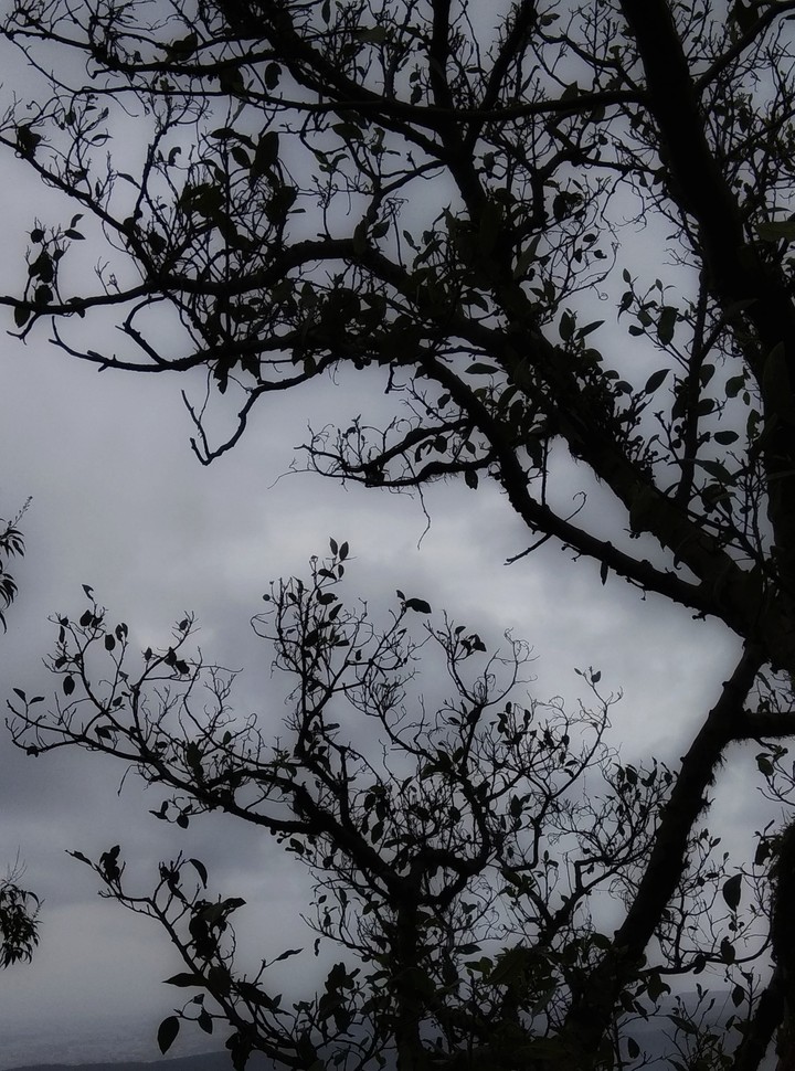 beautiful nature