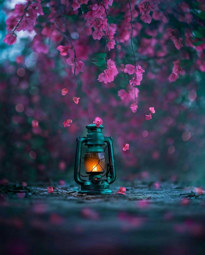luz