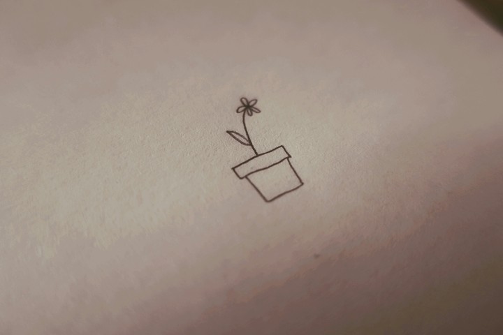 화분