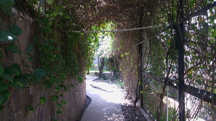 garden
