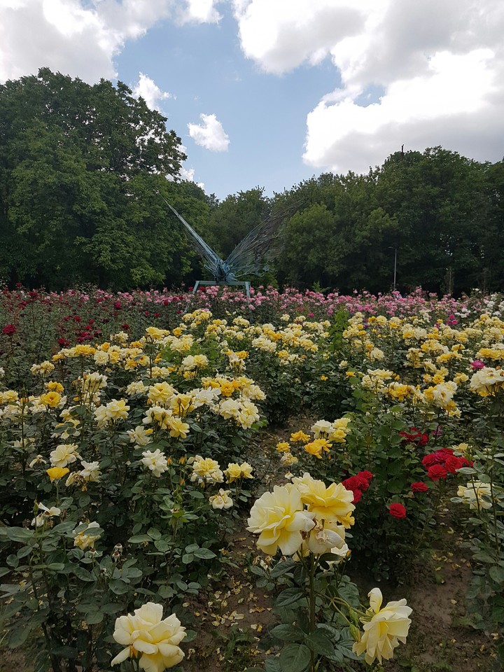 Park