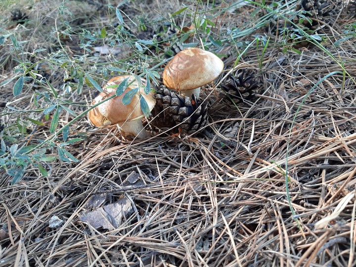 ?