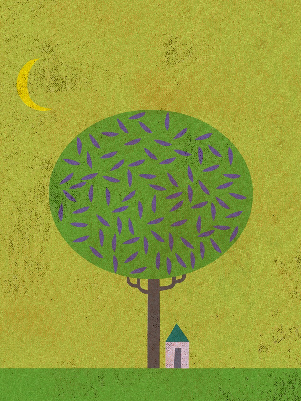 A Big Tree
